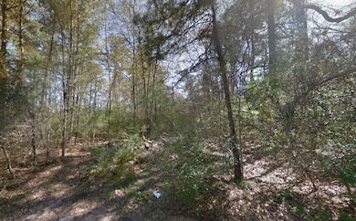 0 Zapata Way unit Willis TX 77378, Willis, TX 77378 - photo 5