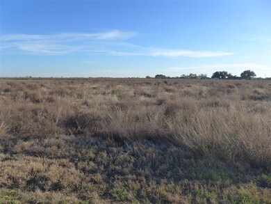 0000 W Tavener Rd, Beasley, TX 77417 - photo 4