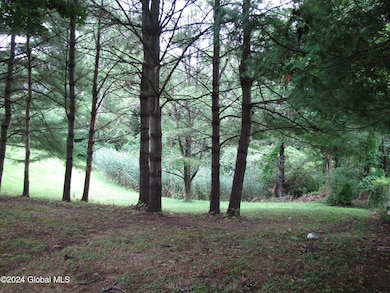 48 Wakefield Ct, Delmar, NY 12054 - photo 7