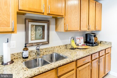 23268 Scholl Manor Way unit 1208, Clarksburg, MD 20871 - photo 7