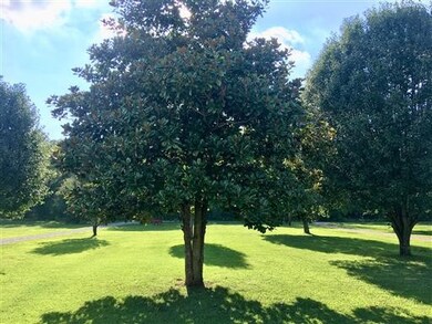 1681 Richardson Rd, Lewisburg, TN 37091 - photo 3