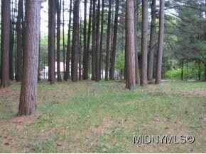 Treed lot