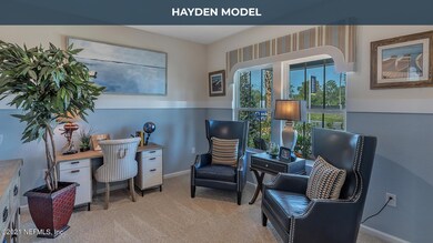 hayden02TAG