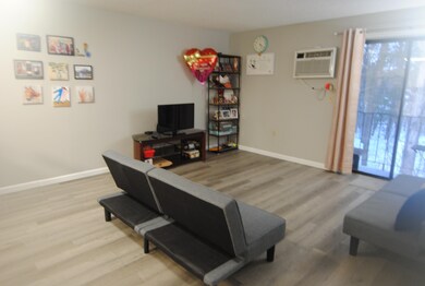 3 Knights Bridge Dr unit UL301, Nashua, NH 03063 - photo 5