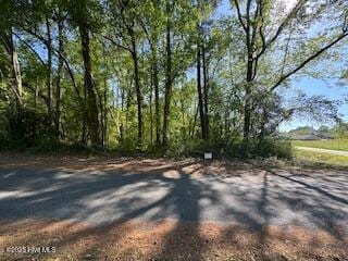 0 5th St unit 100501693, Hamlet, NC 28345 - photo 4