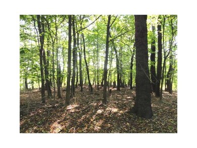 Land/Lot.
