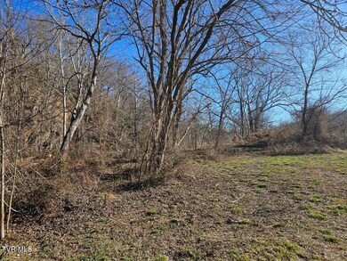 Tbd Hamblen St S, Big Stone Gap, VA 24219 - photo 6