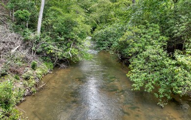 3AC Walkabout Creek Rd, Morganton, GA 30560 - photo 2