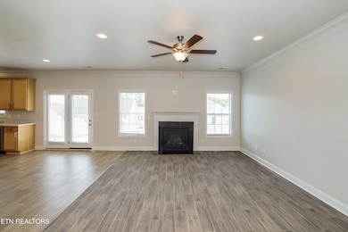 020-photo-living-room-13877497
