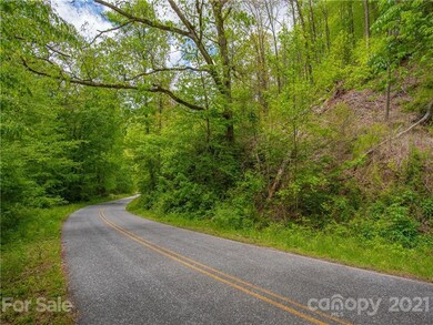 Caney Fork Road dissects the property.