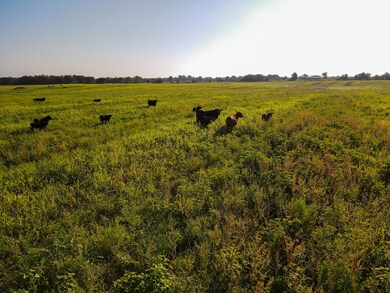 000 Cr Nn, Sheldon, MO 64784 - photo 6
