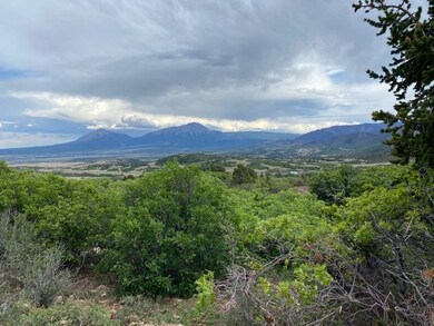 IMG_0757