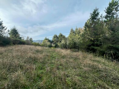 481 Appian Way, Winchester Bay, OR 97467 - photo 3