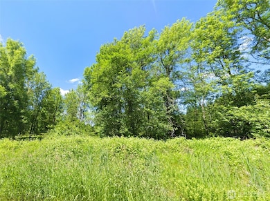 754 Cousins Rd, Chehalis, WA 98532 - photo 6