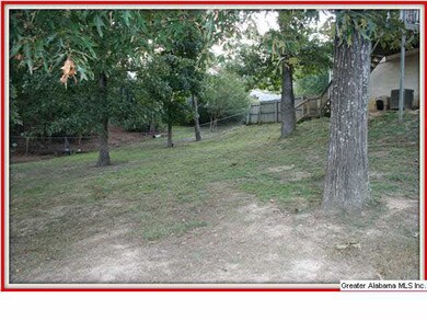 HUGE back yard