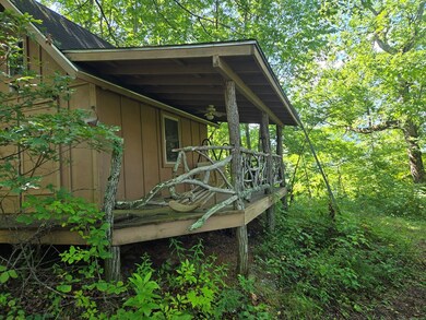 000 Wedgewood Cove Rd, Sylva, NC 28779 - photo 5