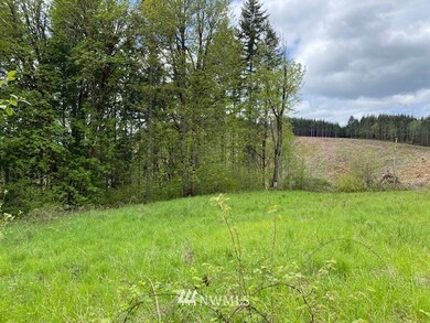 0 Buckhorn Rd unit 1935246, Winlock, WA 98596 - photo 7