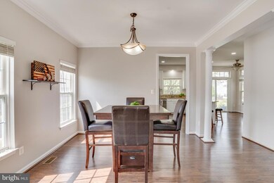 43484 Quentin St, Chantilly, VA 20152 - photo 5