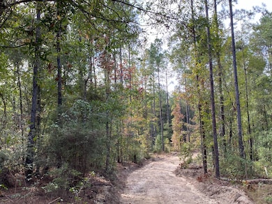 1 Highway 59, Stockton, AL 36579 - photo 6