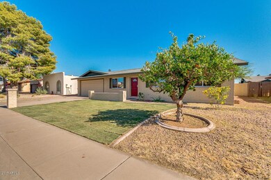02-Palo Verde