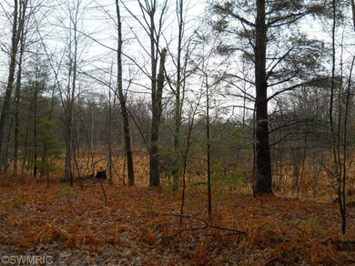 1414 Beaver Rd, Lilley Township, MI 49309 - photo 7