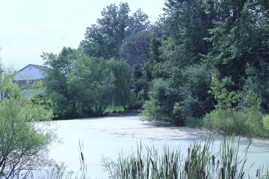 IMG_0604