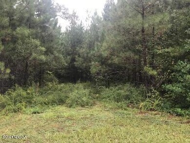 Lot 4 Drive cut in and culvert