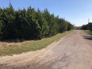 4080 Mesquite Dr, Whitney, TX 76692 - photo 3