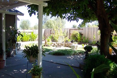 Cool Back Yard