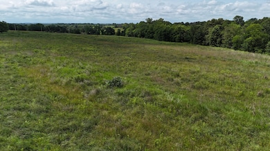 0 State Road Pp, Benton Township, MO 64670 - photo 7