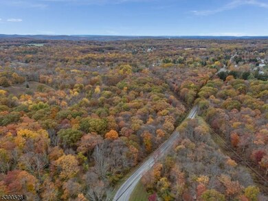 220 Naughright Rd, Long Valley, NJ 07853 - photo 7