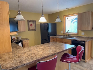 7115 State Highway 1, Finland, MN 55603 - photo 4