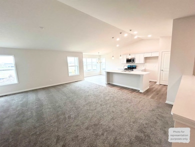 201 Autumnwood Ln, Davis Junction, IL 61020 - photo 4