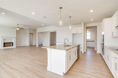 209 Latigo Way, Weatherford, TX 76088 - photo 5