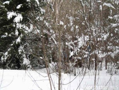 46877 187th Place, McGregor, MN 55760 - photo 6