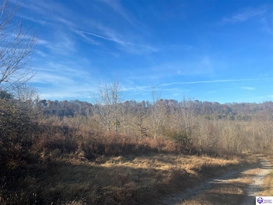 8AC Tucker Rd, Greensburg, KY 42743 - photo 5