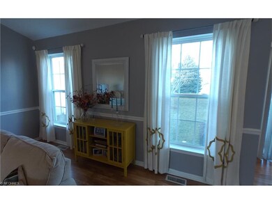 Natural Light in the vaulted great room