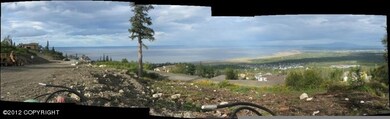 view5
