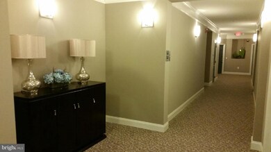 24636 Woolly Mammoth Terrace unit 207, Aldie, VA 20105 - photo 3