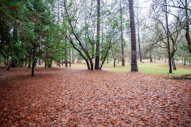 3754 New Hope Rd, Grants Pass, OR 97527 - photo 5