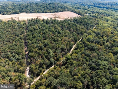 17.33 AC Shale Pit Dr, Falling Waters, WV 25419 - photo 4