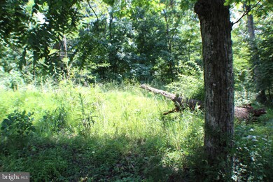 Lot 8 Sec 2 High Knob Rd, Old Fields, WV 26845 - photo 4