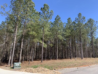 5140 Crockett Point, Jasper, TN 37347 - photo 5