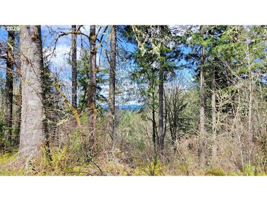 0 Bolton Hill Rd unit 315399452, Veneta, Or, OR 97487 - photo 4