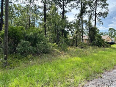 9899 N Lathyrus Terrace, Citrus Springs, FL 34433 - photo 3