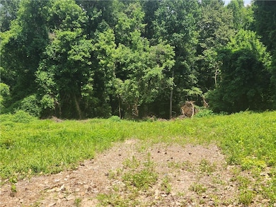 View of woods