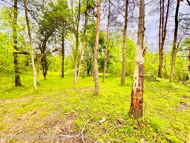 Wooded View