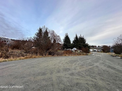 858 Linda Ct, Homer, AK 99603 - photo 4