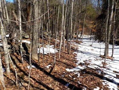 00 Calef Hill Rd unit Lot 405, Franklin, NH 03235 - photo 6