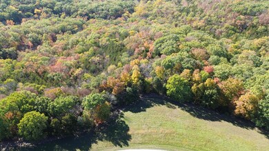 DJI_0131